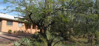 Front yard