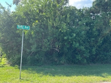 401 Betty Ave, Sebastian, FL 32958 - photo 4