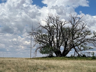 000 Round Top Rd, Snyder, TX 79549 - photo 4