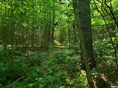 sandy river 5