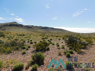 0 San Mateo Rd unit 20231657, Deming, NM 88030 - photo 5
