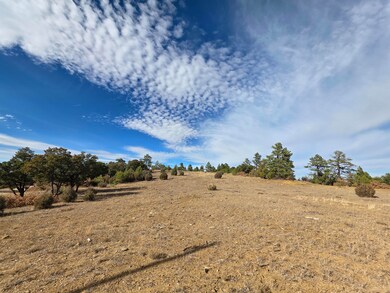 0 Rugby Mines Rd unit 138, Aguilar, CO 81020 - photo 5