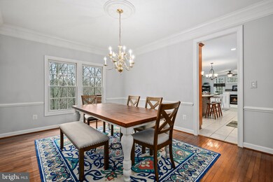 5194 Britten Ln, Ellicott City, MD 21043 - photo 6