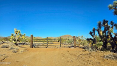 2b S Cattle Crossing Rd, Yucca, AZ 86438 - photo 5