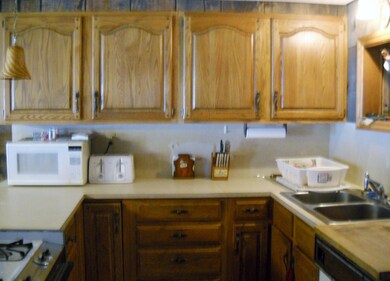 12015 N Lake St, Bitely, MI 49309 - photo 5