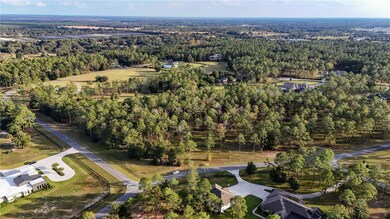 24325 Deep Springs Loop, Eustis, FL 32736 - photo 4