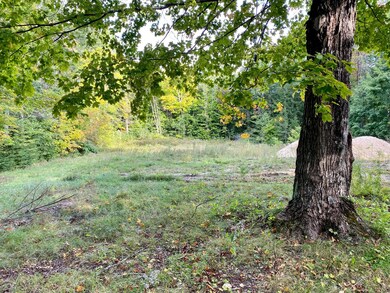 46 Farrington Rd, Gorham, ME 04038 - photo 7