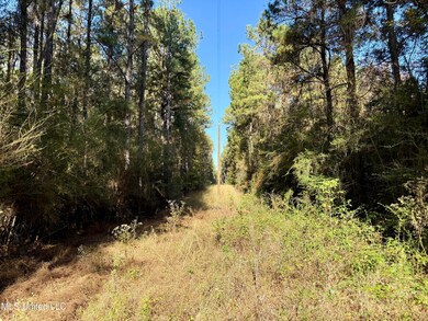 1088 Freeman Rd, Magnolia, MS 39652 - photo 3