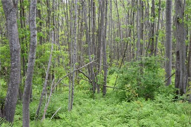 4 Fairhaven Ln, Harpswell, ME 04079 - photo 5