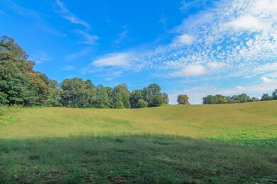 Lot 4 Lovelace Rd, Knoxville, TN 37932 - photo 7