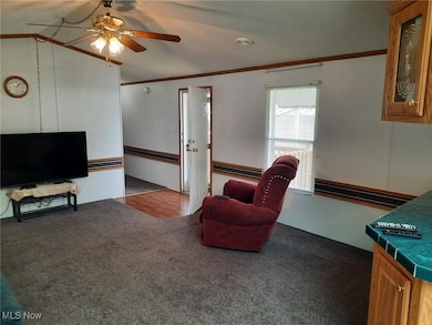 32 Terrace Dr, Ashland, OH 44805 - photo 5