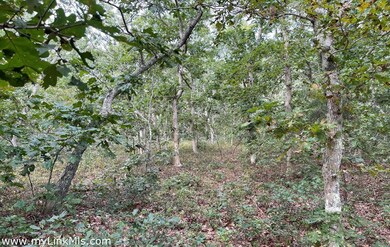 139 Vineyard Meadow Farms Rd, West Tisbury, MA 02575 - photo 4