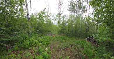 View of undeveloped land