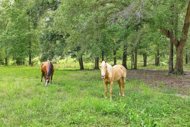 ZYN_1465_66_67_68_69_70_71