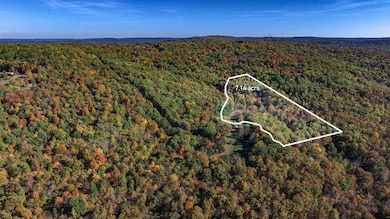 14159 Low Gap Wc 100 Rd, West Fork, AR 72774 - photo 7