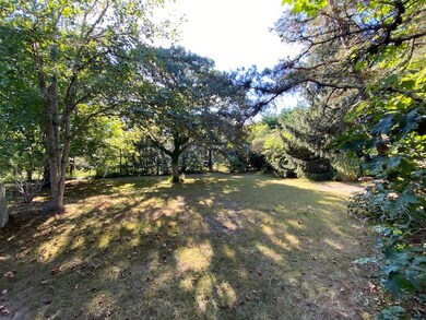 Large yard with mature plantings