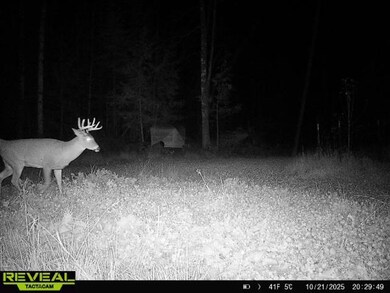 Off Grass Creek Ln, Athens, WI 54411 - photo 6