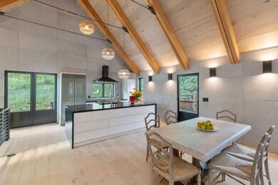 737 W Galena Ave, Telluride, CO 81320 - photo 5