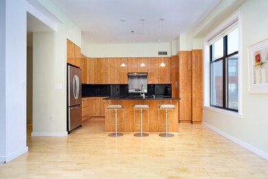 735 Harrison Ave unit W501&2, Boston, MA 02118 - photo 4