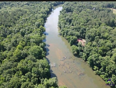 0 Tumbling Shoals Ct unit 232078, Gray, GA 31032 - photo 3