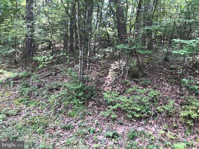 0 Polk unit VASH2001752, Basye, VA 22810 - photo 2