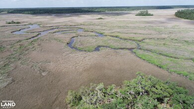 3009 Horse Stamp Church Rd, Waverly, GA 31565 - photo 5