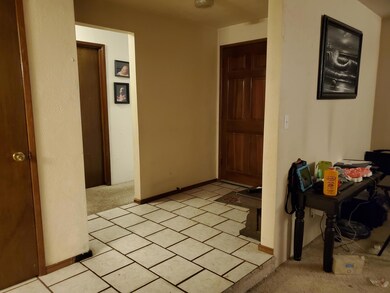 Photo 011