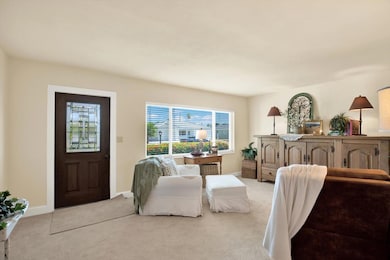 204 45th Ave, Saint Pete Beach, FL 33706 - photo 7