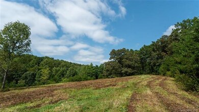 000 Turkey Creek Rd, Leicester, NC 28748 - photo 6