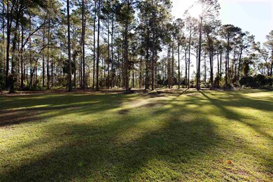 1143 Spring Creek Hwy, Crawfordville, FL 32327 - photo 7