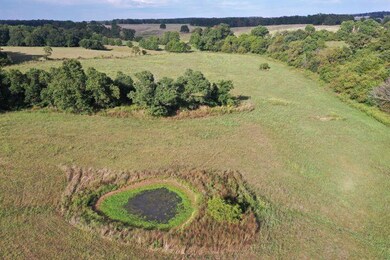 0000 Tract 2 Farm Road 1170, Aurora, MO 65605 - photo 4