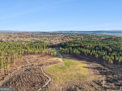 0 Ben Mosley Cir unit 10654033, Summerville, GA 30747 - photo 6