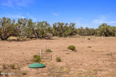 8804 Johnson Hill Trail, Snowflake, AZ 85937 - photo 5