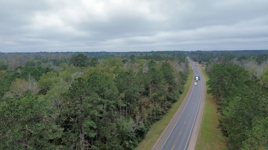 11948 Highway 190, Bon Wier, TX 75928 - photo 5