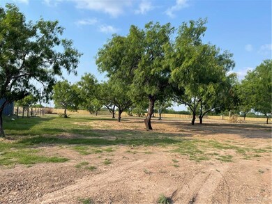 LOT117 Micaela St, Donna, TX 78537 - photo 2