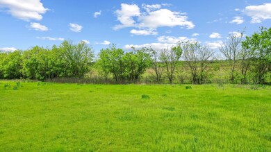 1042 Dominique Dr, Weatherford, TX 76087 - photo 7