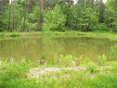 Land/Lot pond in back yard