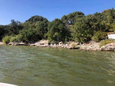 Lot 29 Turner Ranch Rd, Brownwood, TX 76801 - photo 6