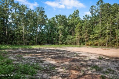 XXX Sinclair St, Chipley, FL 32428 - photo 6