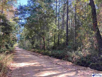 TBD Old Kemper Rd, Lake View, SC 29563 - photo 4