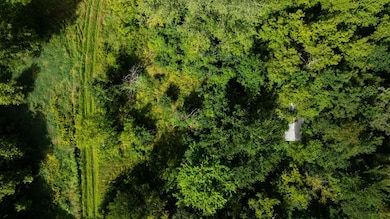 Lot 2 280th St, Glenwood City, WI 54013 - photo 4