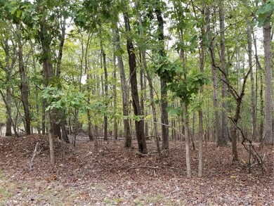 0 Black Mountain Rd unit 954009, Asheboro, NC 27205 - photo 2