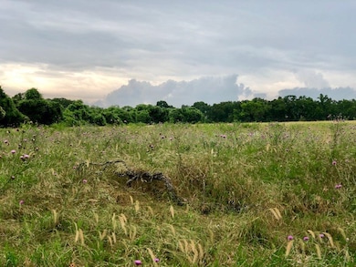 51 Old Vine Dr unit 14, Fredericksburg, TX 78624 - photo 2