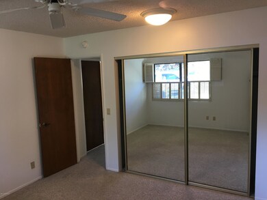 Ty Freedman 2 bed 3 bath