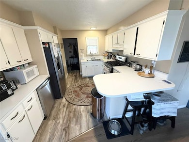 6424 Walrath Cir, Ashtabula, OH 44004 - photo 7