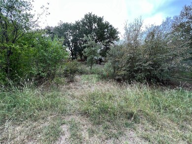 144 Myrtle Ln, Granbury, TX 76049 - photo 4