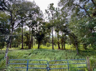 2005 Evans Rd, La Belle, FL 33935 - photo 4