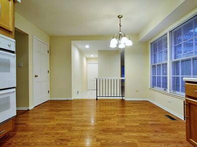 1520 Chippewa Dr, Naperville, IL 60563 - photo 7