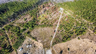 51 Willys Way, Early Branch, SC 29916 - photo 3