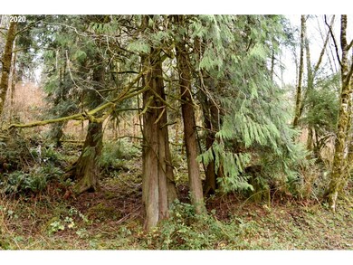 7421 N Fork Rd, Florence, OR 97439 - photo 4